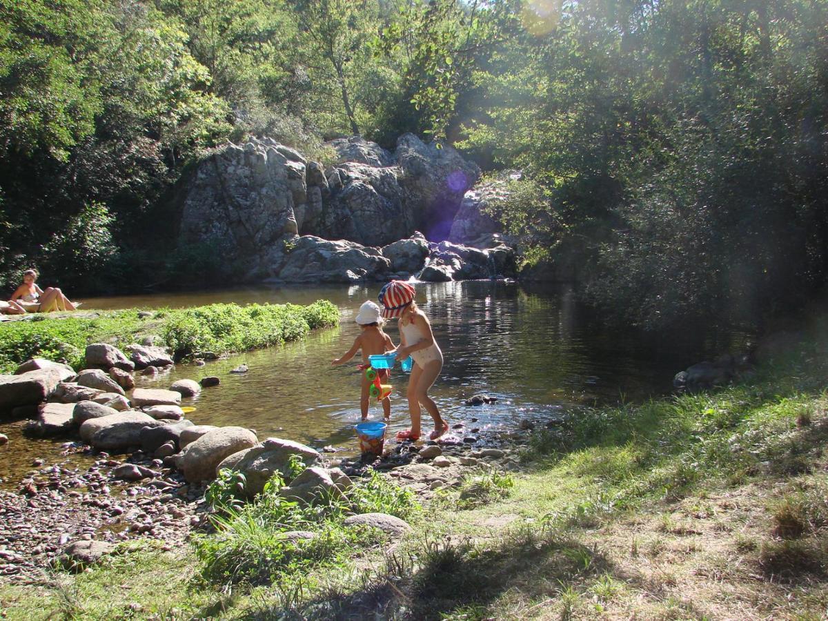 Ribes - Chalet Gite Au Coeur De La Nature Sournia Esterno foto